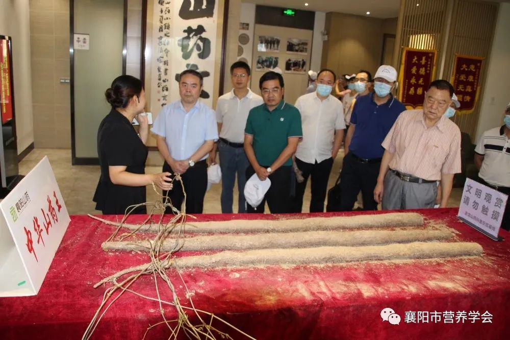 襄陽市組織部最新任免動態(tài)，領(lǐng)導(dǎo)層的新調(diào)整與未來展望