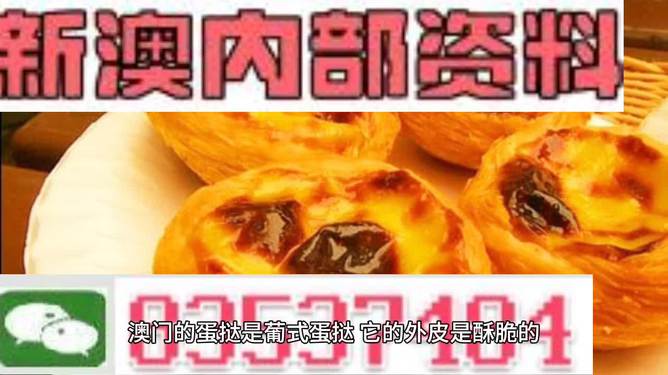 2024新澳最精準(zhǔn)資料大全,2024新澳最精準(zhǔn)資料大全——掌握最新信息，洞悉未來趨勢