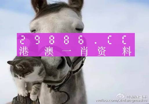 澳門一肖一碼準選一碼2023年,澳門一肖一碼準選一碼與犯罪問題探討（2023年）