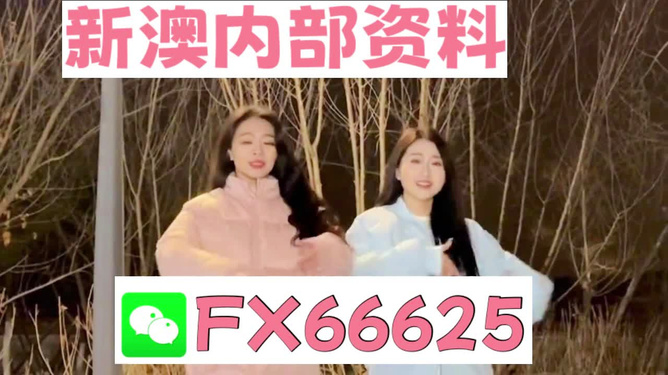 管家婆一碼一肖100準(zhǔn),揭秘管家婆一碼一肖，100%精準(zhǔn)的神秘面紗
