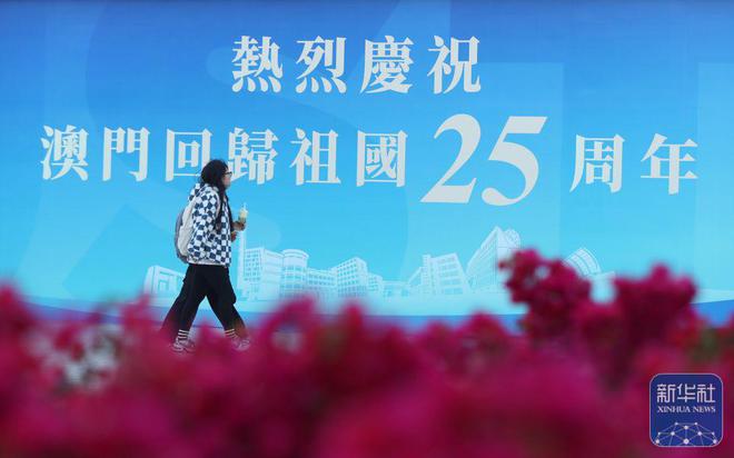 澳門正版資料免費大全新聞,澳門正版資料免費大全新聞——揭示違法犯罪問題