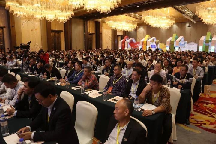 新聞頭條 第144頁