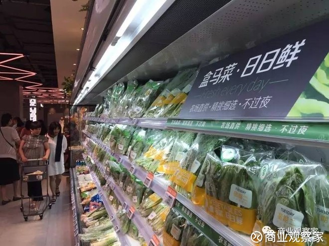 最新上海新菜市場(chǎng)招商,最新上海新菜市場(chǎng)招商，開啟新一輪商業(yè)機(jī)遇之門
