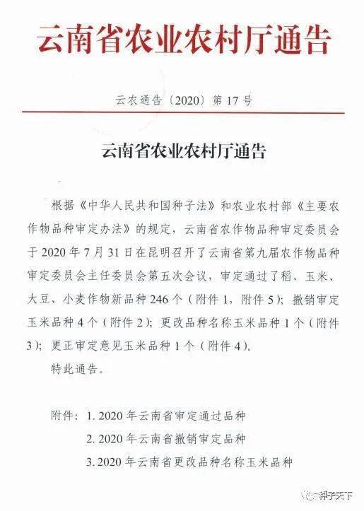 2016年最新審定玉米種,探索最新審定玉米種，2016年的機(jī)遇與挑戰(zhàn)