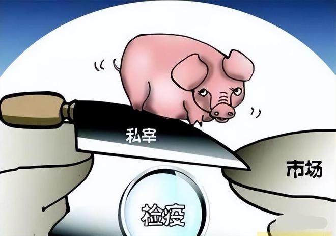 最新生豬屠宰管理條例,最新生豬屠宰管理條例，保障食品安全與公眾健康的關(guān)鍵措施