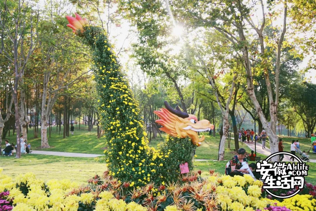 花沖公園最新消息,花沖公園最新動(dòng)態(tài)