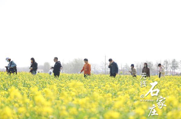 晉州環(huán)保新聞最新消息,晉州環(huán)保新聞最新消息，推動(dòng)綠色發(fā)展的步伐堅(jiān)定前行