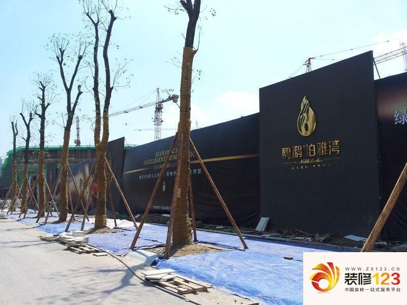 鷗鵬泊雅灣最新動態(tài),鷗鵬泊雅灣最新動態(tài)，揭秘項目進展與未來展望