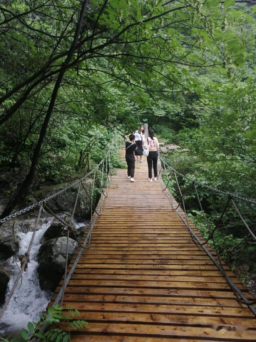常州小黃山最新消息,常州小黃山最新動態(tài)，揭開神秘面紗，探尋自然之美