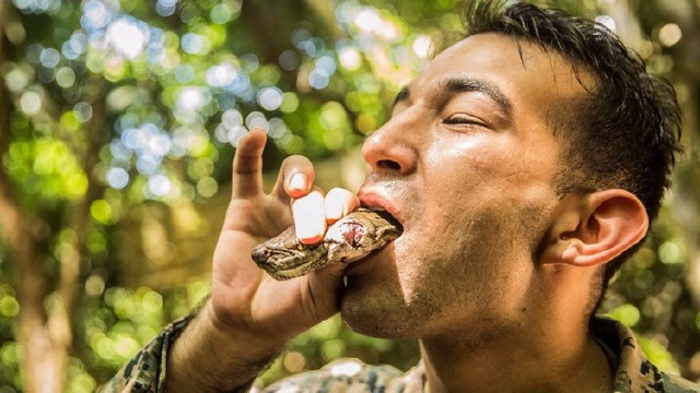 最新每周一重口味,最新每周一重口味，探索味蕾的新領(lǐng)域