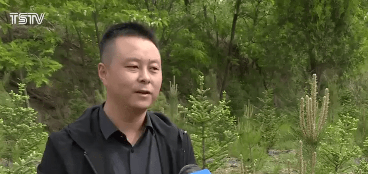 云南徐會(huì)良最新任命,云南徐會(huì)良的最新任命，推動(dòng)地方發(fā)展的杰出領(lǐng)導(dǎo)者