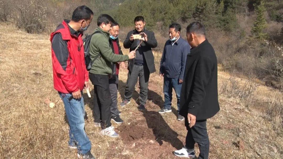 蘭坪縣組織部最新公告,蘭坪縣組織部最新公告，推動縣域黨建工作邁上新臺階