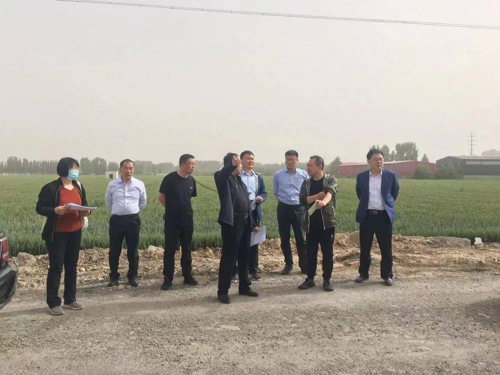 吉林土地確權(quán)最新消息,吉林土地確權(quán)最新消息，推動(dòng)農(nóng)村改革，促進(jìn)農(nóng)業(yè)現(xiàn)代化