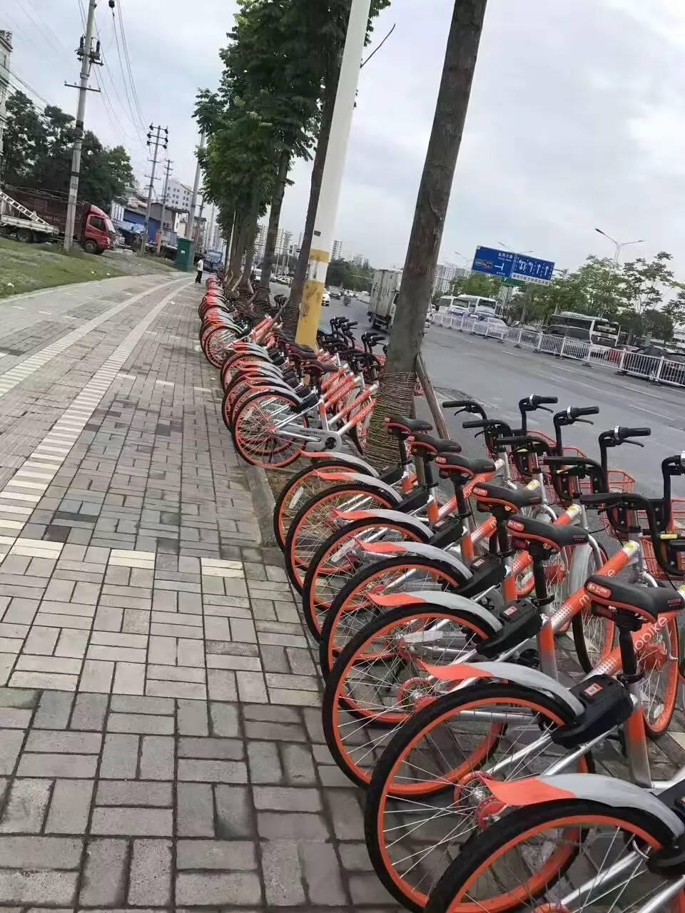 恩施金龍大道最新消息,恩施金龍大道最新消息，建設(shè)進(jìn)展與未來展望