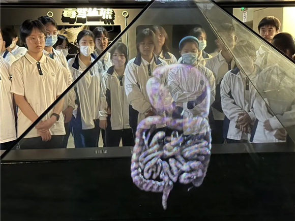 2024澳門(mén)天天開(kāi)好彩大全最新版本,警惕虛假博彩陷阱，遠(yuǎn)離犯罪，珍愛(ài)生活——關(guān)于澳門(mén)博彩業(yè)及2024澳門(mén)天天開(kāi)好彩的真相揭示