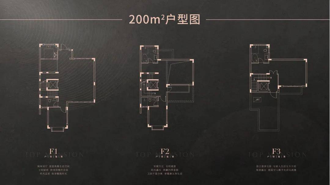 新門內(nèi)部資料精準大全,新門內(nèi)部資料精準大全，深度探索與解析