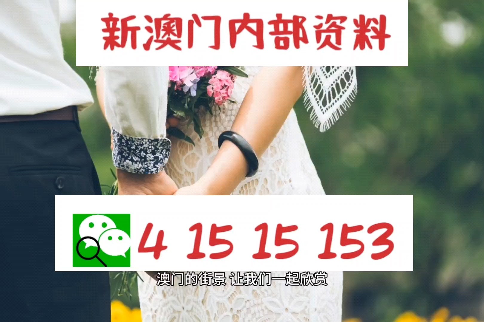 新澳門正版免費(fèi)大全,關(guān)于新澳門正版免費(fèi)大全的探討——一個(gè)關(guān)于違法犯罪問(wèn)題的探討