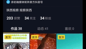 管家婆一碼一肖,揭秘管家婆一碼一肖，背后的神秘面紗與真相探索