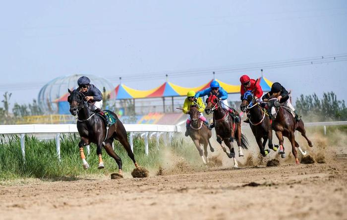 2024今晚香港開特馬,今晚香港開特馬，探索賽馬運(yùn)動(dòng)的魅力與未來展望