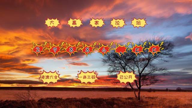 7777788888精準(zhǔn)跑狗圖,揭秘精準(zhǔn)跑狗圖，探索數(shù)字世界中的神秘77777與88888