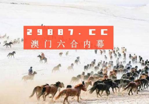 4949澳門(mén)特馬今晚開(kāi)獎(jiǎng)53期,澳門(mén)特馬第53期開(kāi)獎(jiǎng)揭曉，期待與驚喜交織的夜晚