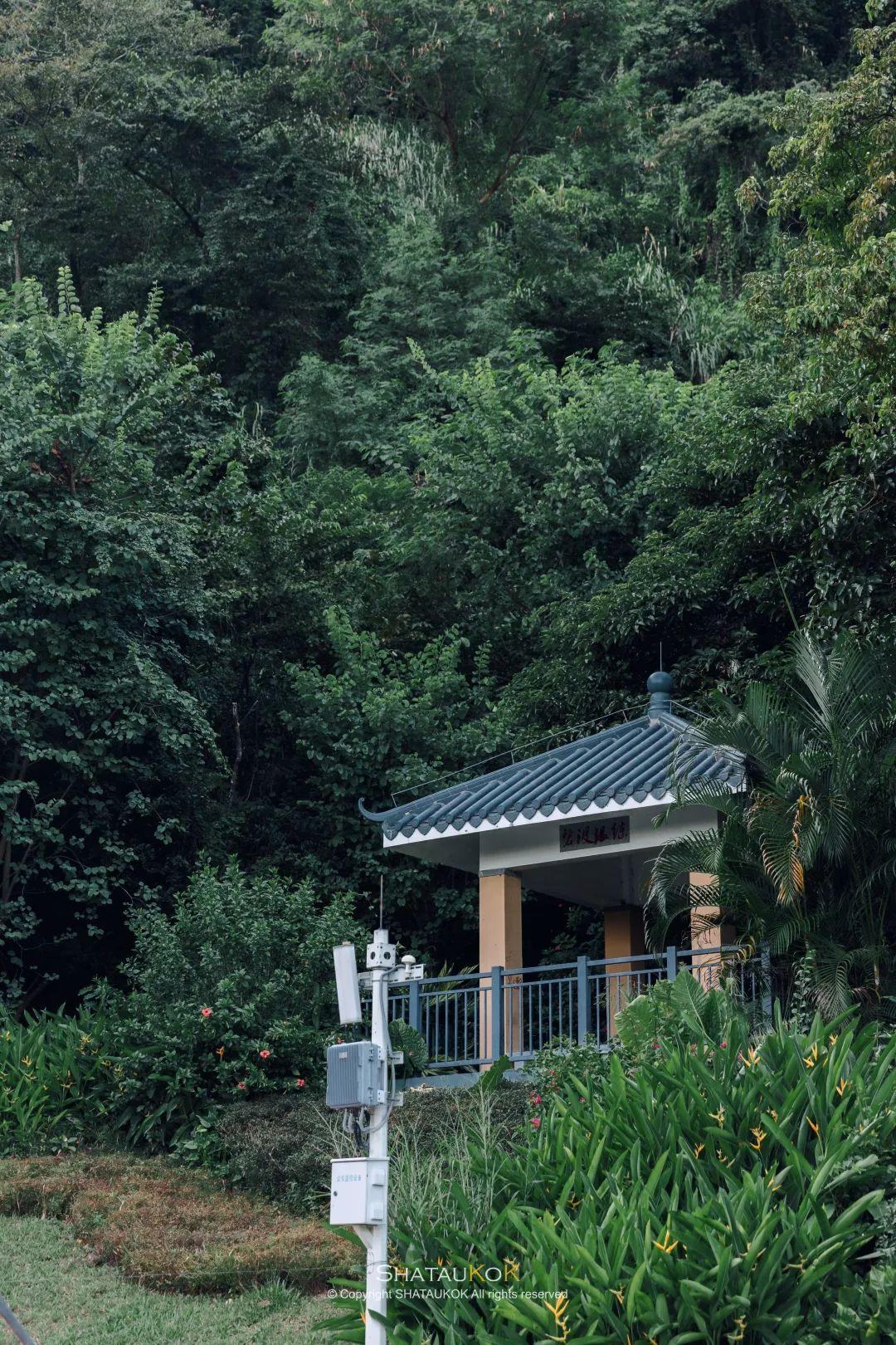 濱州望海花園最新房價,濱州望?；▓@最新房價動態(tài)分析