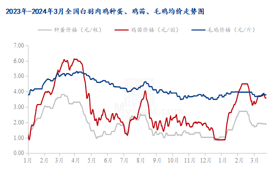 肉毛雞價(jià)格最新行情走勢(shì),肉毛雞價(jià)格最新行情走勢(shì)分析