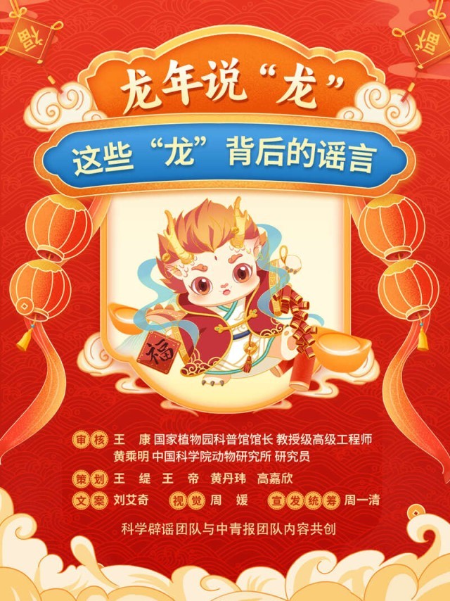 白小姐三肖三期必出一期開獎龍年,白小姐三肖三期必出一期開獎龍年的神秘預(yù)測