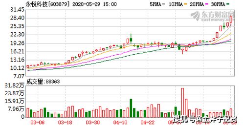 2025新澳一碼一特,探索未來，2025新澳一碼一特的時(shí)代展望