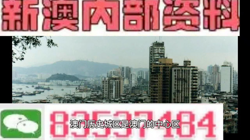 澳門最準平特一肖100%免費,澳門最準平特一肖，揭秘真相與免費預(yù)測的背后