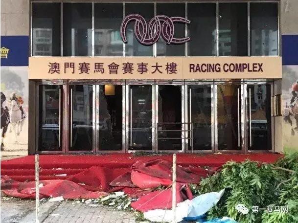 馬會(huì)傳真資料2025澳門,馬會(huì)傳真資料2025澳門——探索未來的繁榮與發(fā)展
