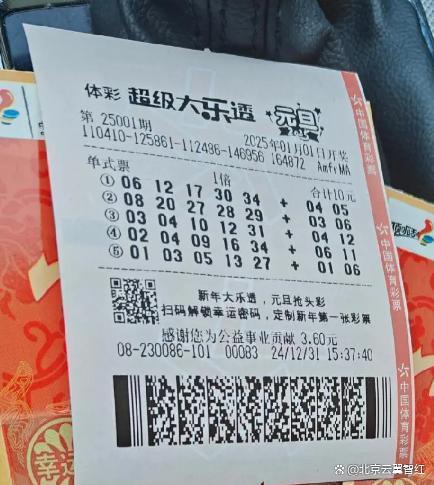 2025年一肖一碼一中,探索未來彩票奧秘，2025年一肖一碼一中