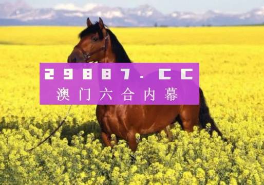澳門六開彩全年免費正版資料,澳門六開彩全年免費正版資料，探索與解析