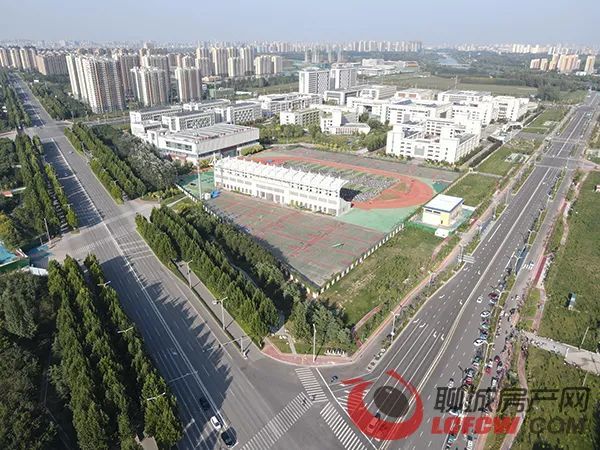 一碼一肖一特一中2025,一碼一肖一特一中與未來的預(yù)測，走向2025的洞察