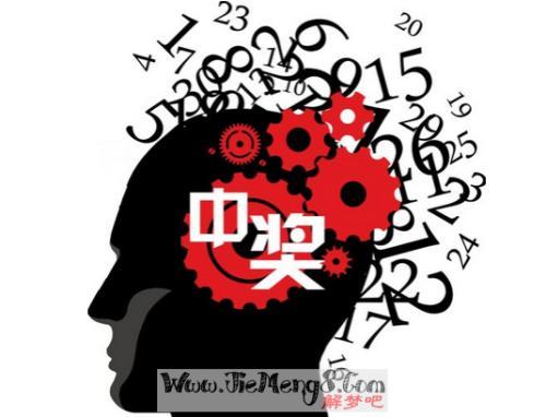 新澳門二四六天天彩,新澳門二四六天天彩，探索與體驗