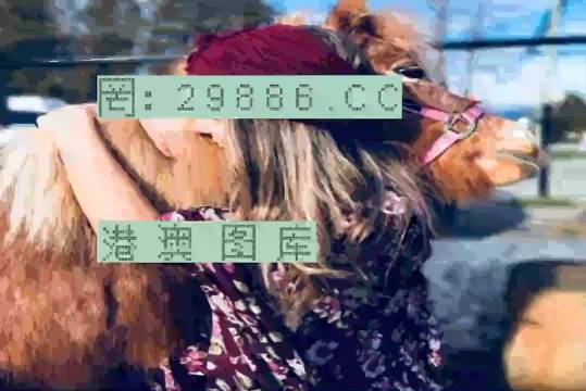 77777788888王中王跑狗軟件介紹,王中王跑狗軟件介紹，探索數(shù)字世界的777777與88888的魅力