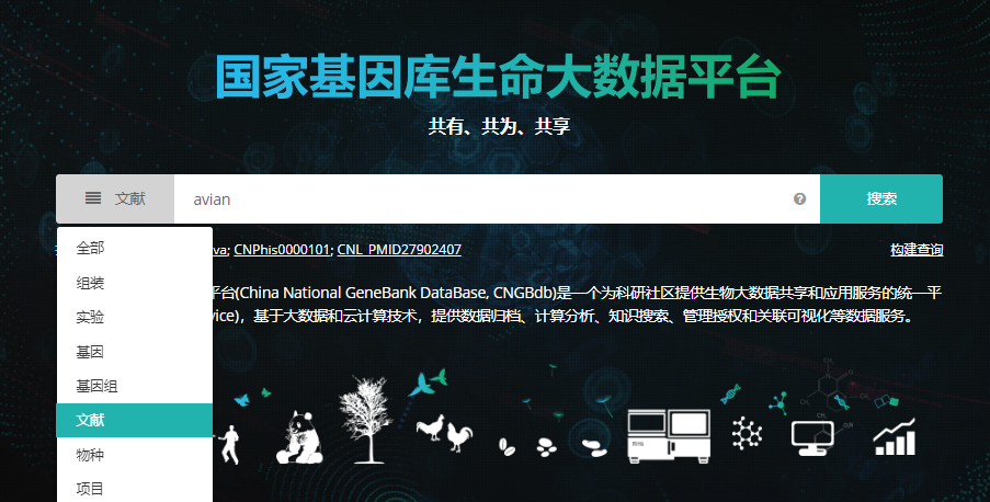 新奧彩最新免費(fèi)資料,新奧彩最新免費(fèi)資料，探索與解讀