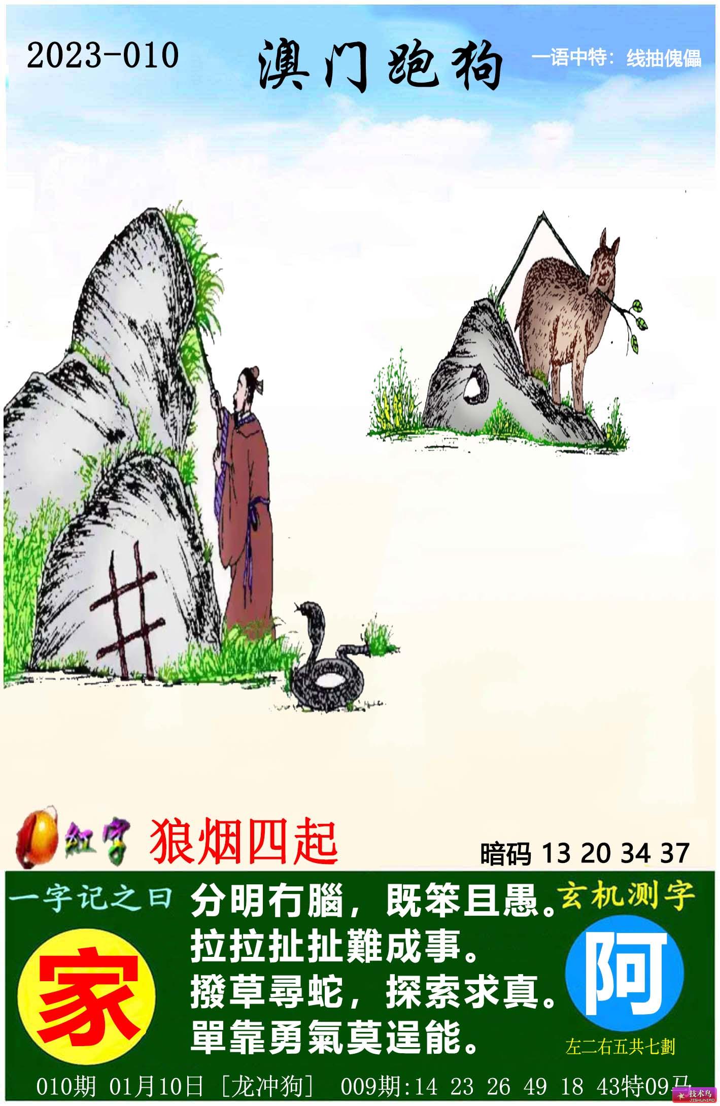 2025澳門跑狗圖正版高清圖片大全,澳門跑狗圖正版高清圖片大全——探索2025年的全新視界