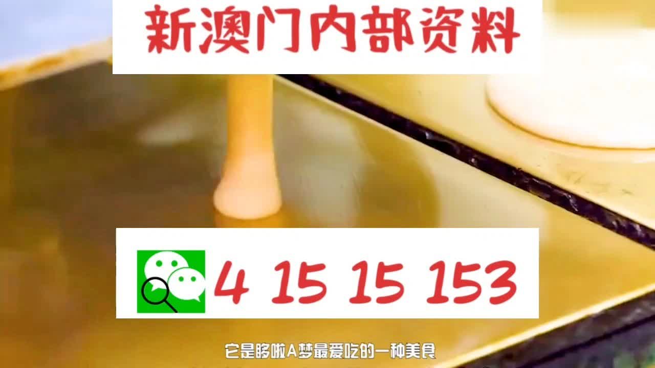 新澳門(mén)三碼中特,新澳門(mén)三碼中特，探索與發(fā)現(xiàn)