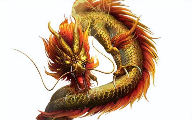 100%最準(zhǔn)的一肖,揭秘100%最準(zhǔn)的一肖，探尋命運(yùn)與生肖的神秘聯(lián)系