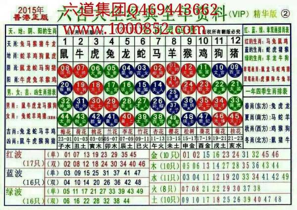 澳門6合和彩2025生肖圖,澳門六合和彩與生肖圖，探索未來(lái)的奧秘與預(yù)測(cè)（以生肖圖預(yù)測(cè)2025年為例）