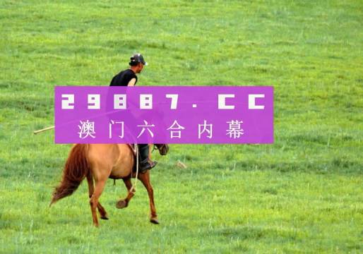 香港免費(fèi)資料王中王資料,香港免費(fèi)資料王中王資料詳解