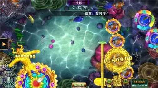 77778888王中王資料,揭秘王中王，探尋77778888背后的神秘資料