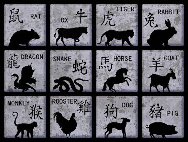 精準(zhǔn)一肖一碼100準(zhǔn)最準(zhǔn)一肖_,精準(zhǔn)一肖一碼，探尋預(yù)測(cè)生肖的神秘面紗與精準(zhǔn)之道
