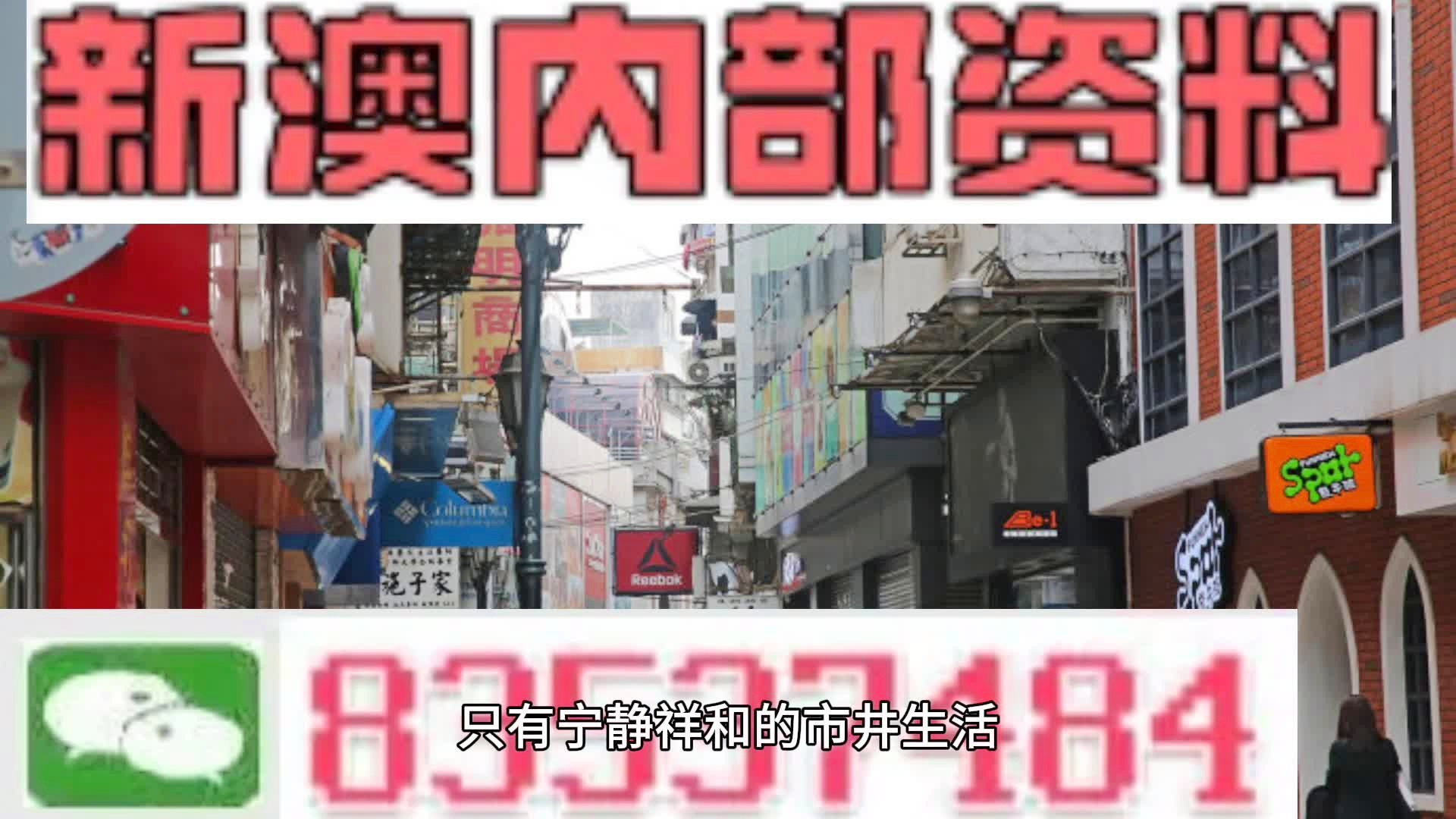 澳門內部王中王精準資料,澳門內部王中王精準資料，揭秘背后的秘密
