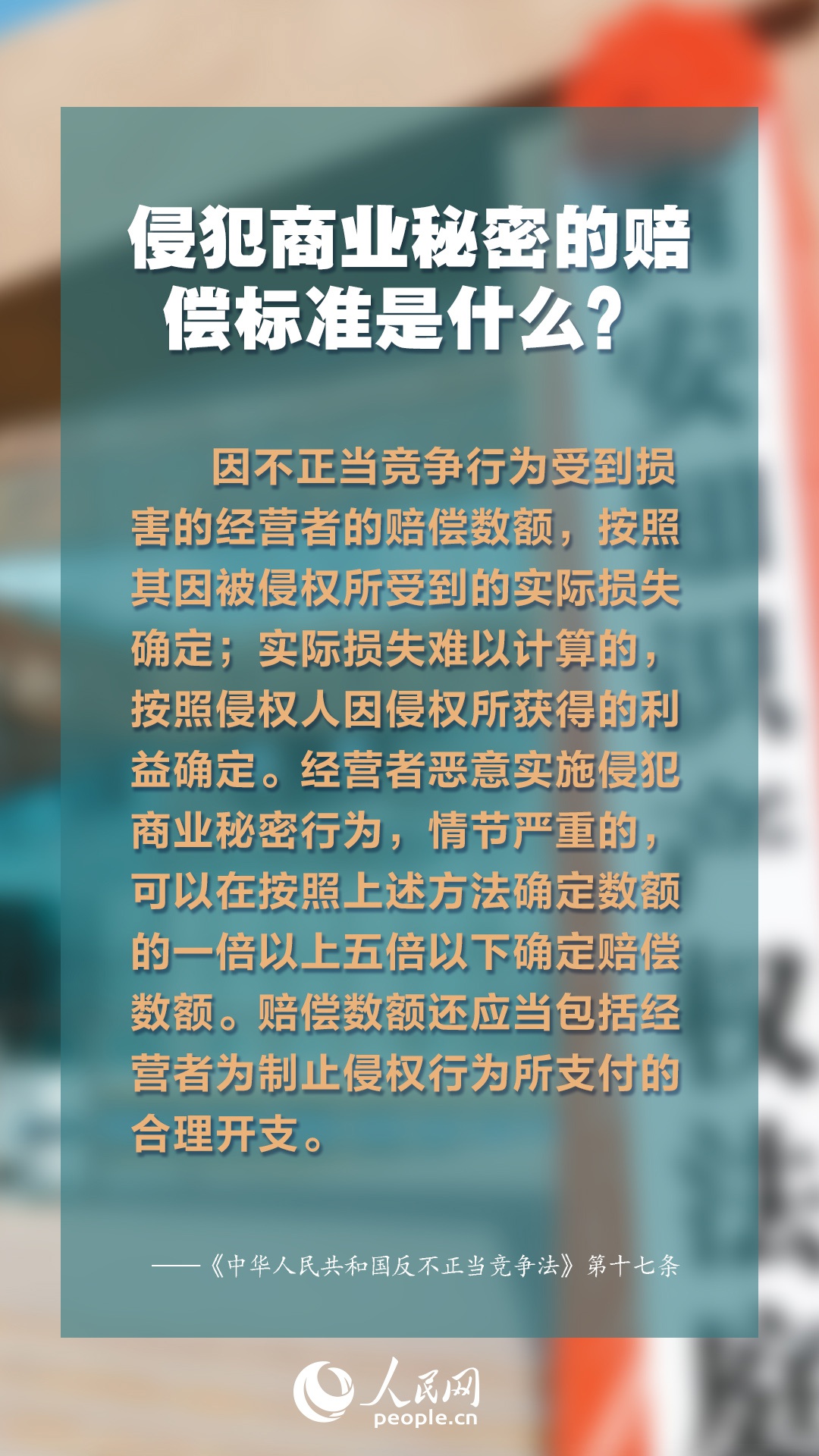 2025年正版免費資料大全最新版本,探索未來知識寶庫，2025正版免費資料大全最新版本概覽