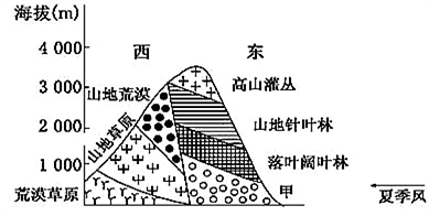 大地資源第二頁第三頁區(qū)別,大地資源的第二頁與第三頁，區(qū)別與洞察
