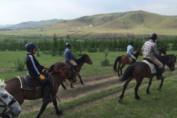 今晚澳門馬出什么特馬,今晚澳門馬會出什么樣的特馬？探索馬會神秘面紗下的秘密
