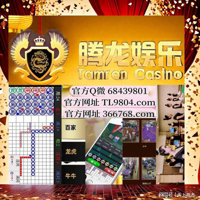 2025新澳門天天彩資料查詢,探索澳門博彩文化，2025新澳門天天彩資料查詢
